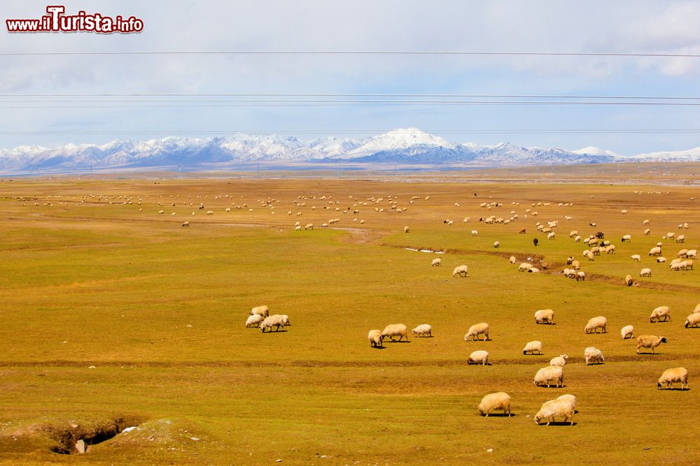 Immagine Il paesaggio sconfinato lungo la strada che collega Xining con Golmud in Cina