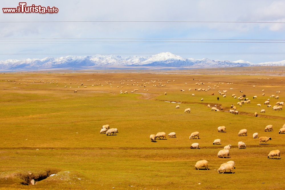 Immagine Il paesaggio sconfinato lungo la strada che collega Xining con Golmud in Cina