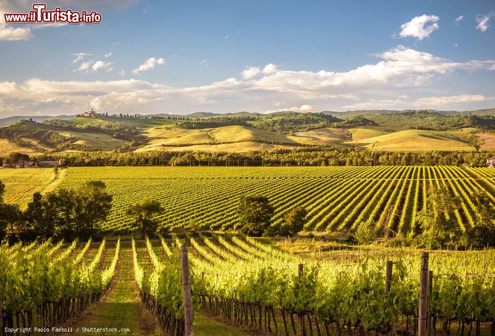 Le foto di cosa vedere e visitare a Cinigiano