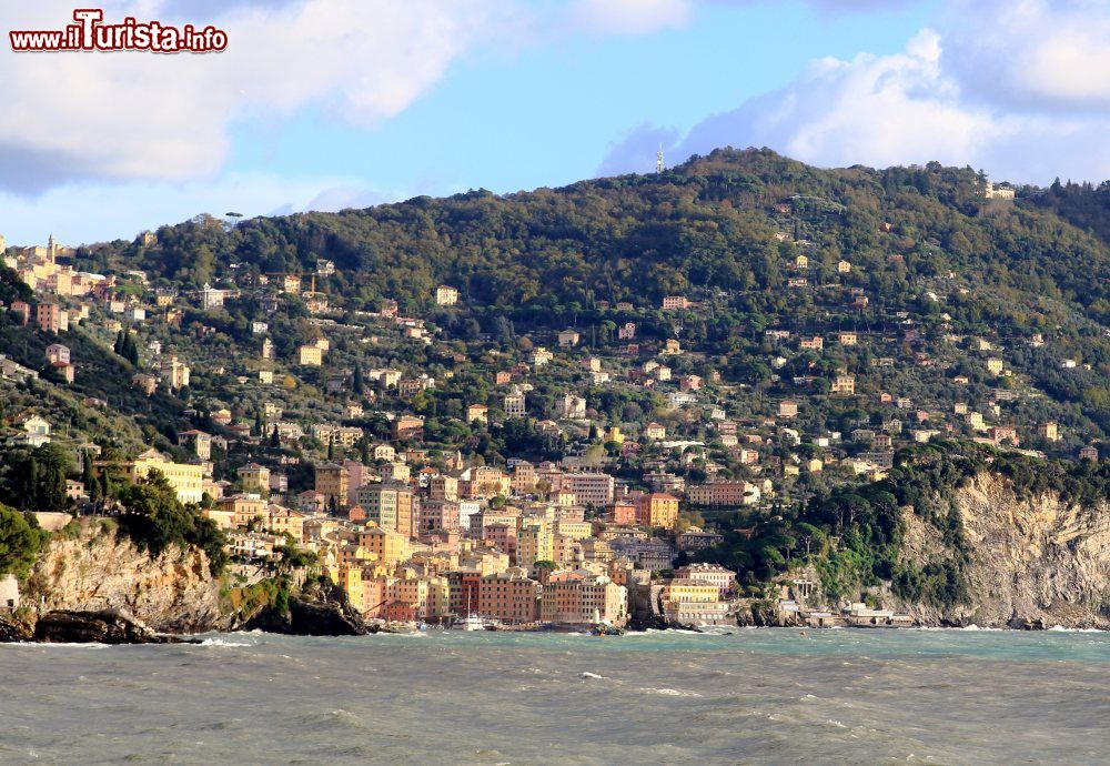 Immagine Il paese di Camogli visto da Recco, Genova, Liguria.