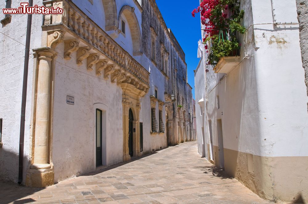 Immagine Il Palazzo Balsamo, elegante costruzione nel centro storico di Specchia in Puglia