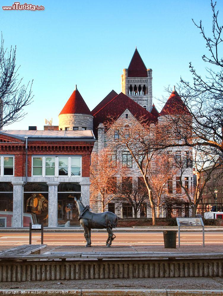 Immagine Il Palazzo Comunale di Syracuse alle spalle dell'Erie Canal Museum in Erie Boulevard, New York USA - © debra millet / Shutterstock.com