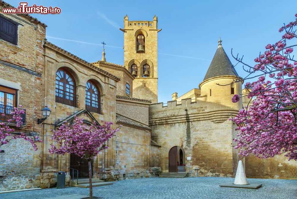 Immagine Il Palazzo dei Re di Navarra a Olite (Spagna) con gli alberi fioriti in primavera.
