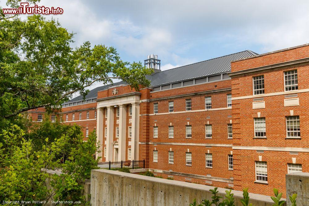 Immagine Il Palazzo delle Scienze Biologiche alla Duke University di Durham, Carolina del Nord, USA. E' una delle università più famose e prestigiose degli Stati Uniti fondata nel 1838 - © Bryan Pollard / Shutterstock.com