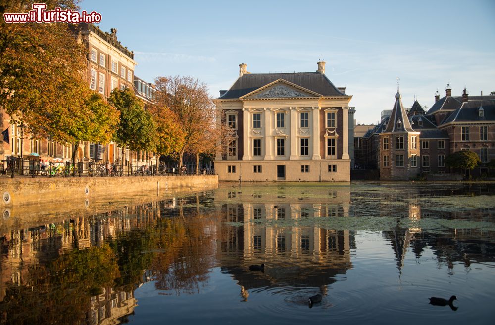 Immagine Il Palazzo di Maurizio e le storiche dimore del parlamento a L'Aia, Olanda, lungo l'Hofvijver. Questo stagno del centro cittadino ospita una piccola isoletta con piante e alberi.