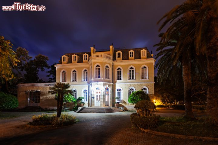 Immagine Il Palazzo di Re Nicola nel centro di Bar, Montenegro, fotografato di notte. Residenza estiva dell'ultimo sovrano del Montenegro, re Nicola, padre della regina Elena (moglie di Vittorio Emanuele III°), questa bella dimora di fine Ottocento è inserita in un parco con abeti e pini. Oggi ospita un museo - © saiko3p / Shutterstock.com