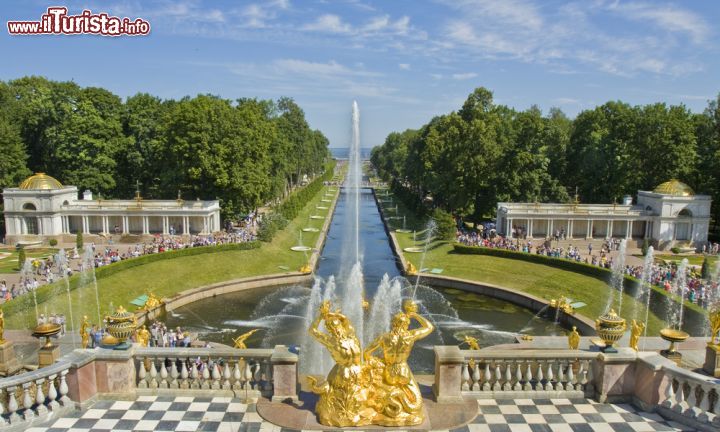Immagine  Il palazzo e le fontane di Peterhof, l'attrazione principlae della città di Petergof, dintorni di San Pietroburgo - © Irina Afonskaya / Shutterstock.com