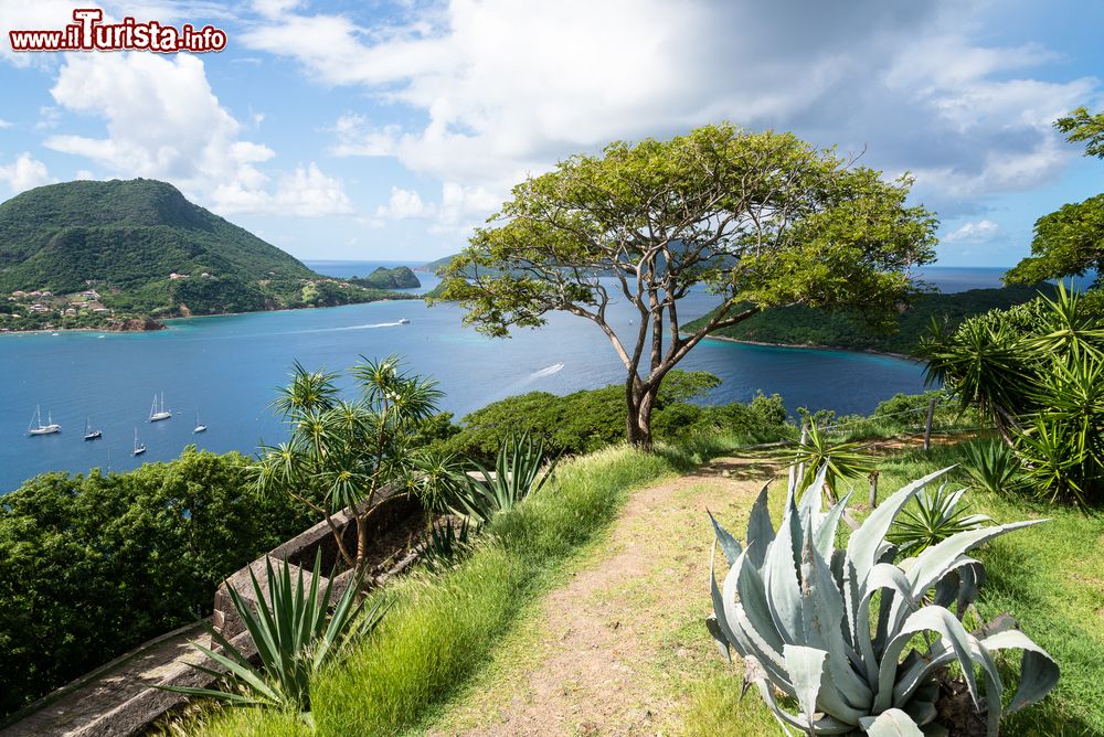 Immagine Il panorama che si gode da Fort Napoleon sull'isola di Terre-de Haut arcipelago Les Saintes a Guadalupa