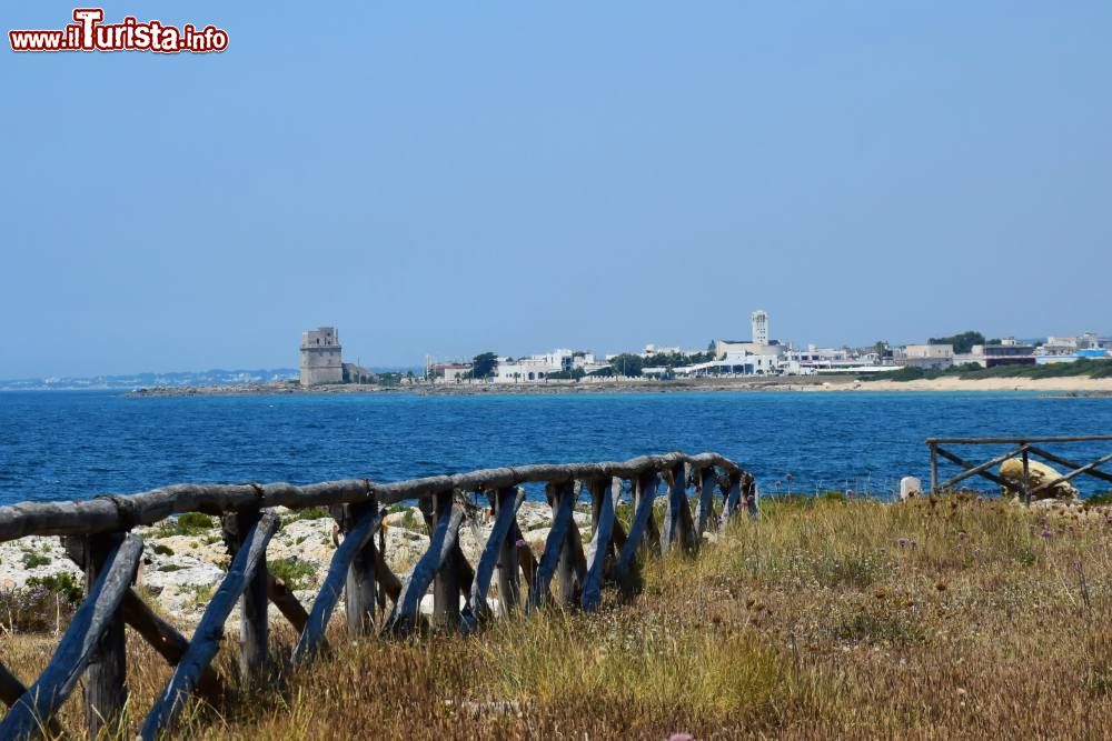 Immagine Il panorama che si gode da Punta Prosciutto in direzione Torre Colimena 