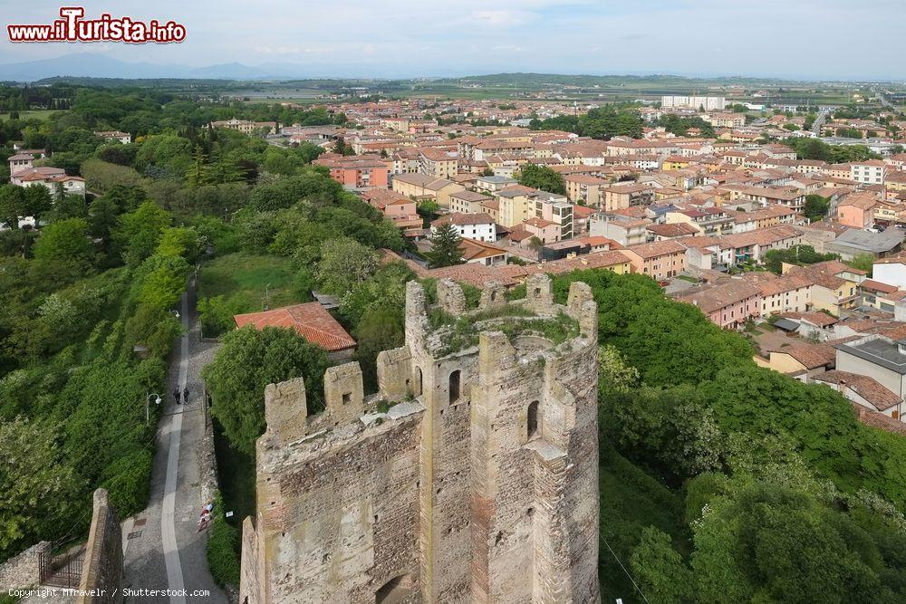 Le foto di cosa vedere e visitare a Valeggio sul Mincio