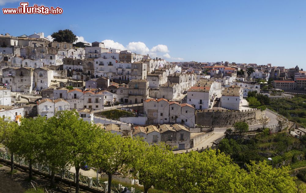 Le foto di cosa vedere e visitare a Monte Sant'Angelo