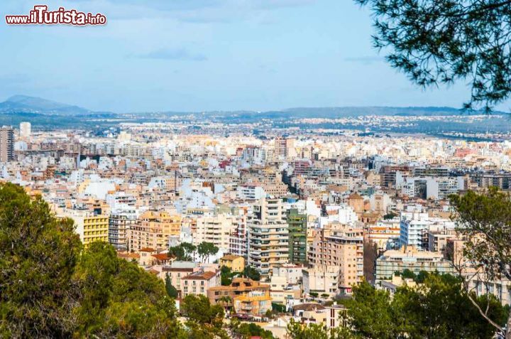 Immagine Il panorama del centro di Palma di Maiorca, il capoluogo delle Isole Baleari