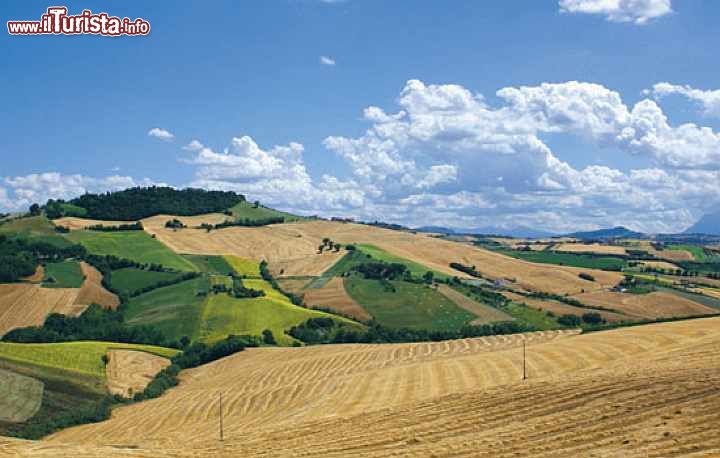 Immagine Il panorama delle colline intorno a Mogliano, nelle Marche - © turismo.comune.mogliano.mc.it