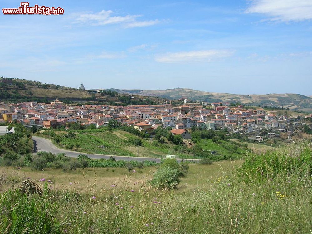 Le foto di cosa vedere e visitare a Barile