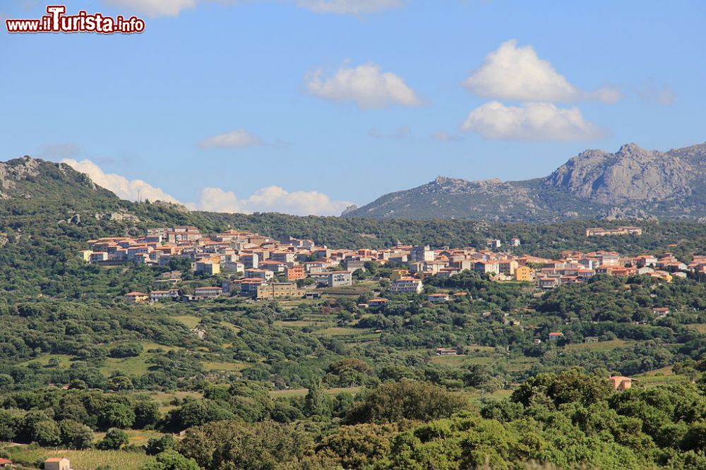 Immagine Il panorama di Calangianus in Gallura, nord della Sardegna Di Gianni Careddu - Opera propria, CC BY-SA 3.0, Collegamento