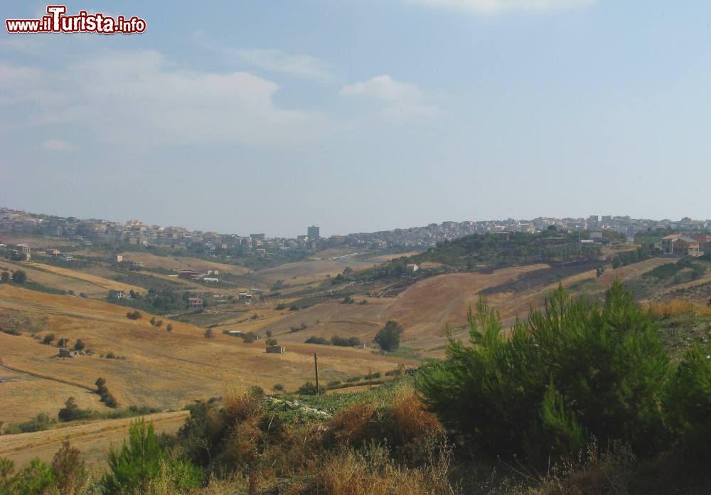 Immagine il Panorama di Raffadali in Sicilia, nella terra dei pistacchi - © Toni Pecoraro, Wikipedia