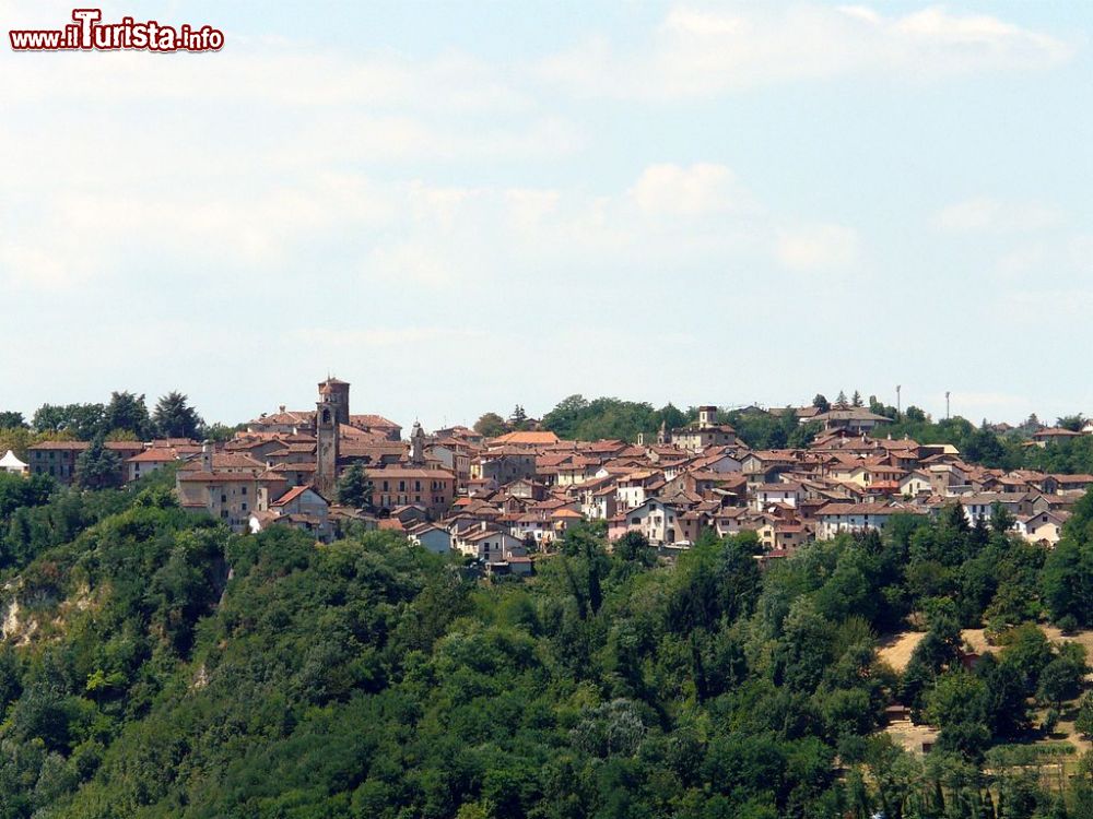 Immagine Il panorama generale di Rocca Grimalda, piccolo borgo del Monferrato in Piemonte - © Davide Papalini - CC BY-SA 3.0, Wikipedia
