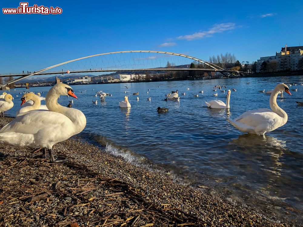 Immagine Il panorama sul Reno in direzione di Weil Am Rhein e il ponte dei tre paesi
