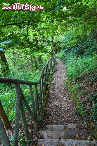 Immagine Il parco rigoglioso del Castello di Gropparello, in provincia di Piacenza - © Mi.Ti. / Shutterstock.com