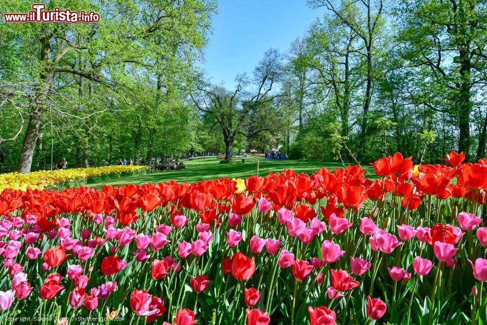 Immagine Il parco del Castello di Pralormo in primavera: la esplosione di colori di Messier Tulipano in Piemonte - © Simona Sirio / Shutterstock.com