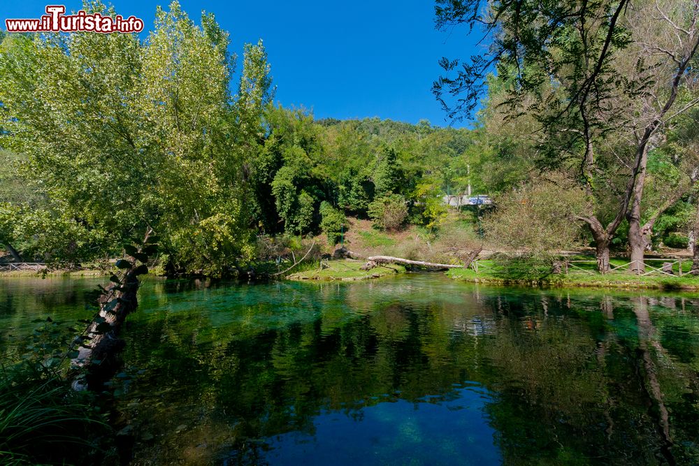 Immagine Il Parco del Grassano vicino a Telese Terme in Campania