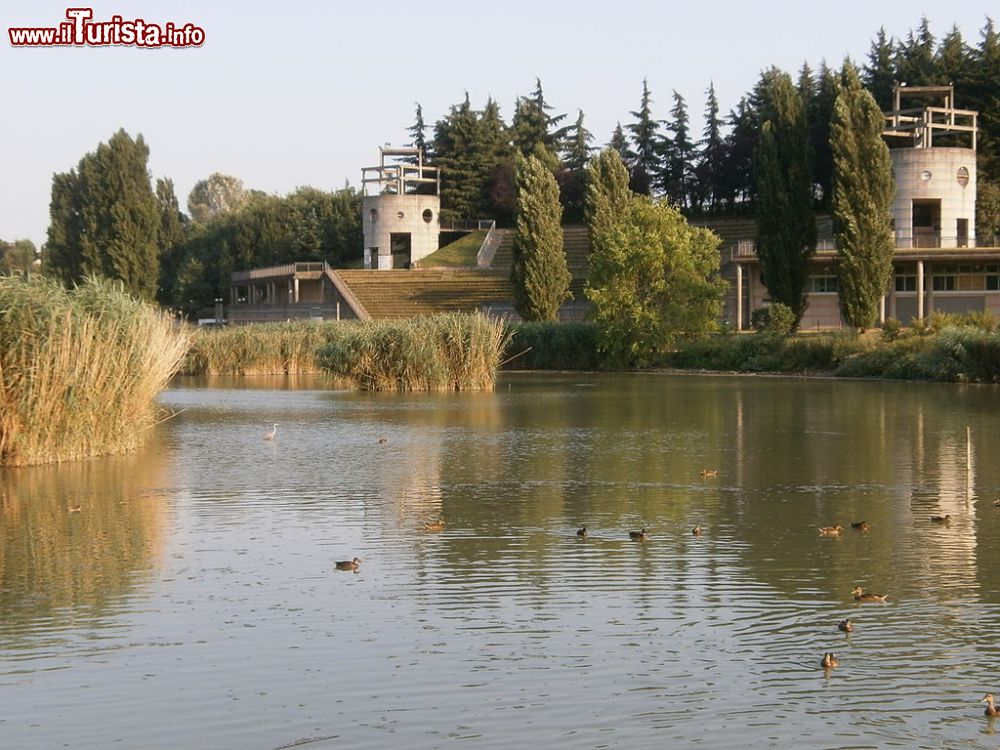 Immagine Il Parco del Grugnotorto, una ex cava a nord di Paderno Dugnano - © Stefano Stabile, CC BY-SA 3.0, Wikipedia