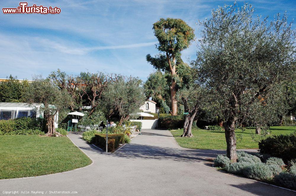 Immagine Il parco del Museo Nazionale Marc Chagall a Nizza, Costa Azzurra - © Julie Mayfeng / Shutterstock.com