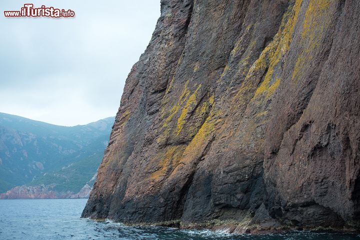 Immagine Mare e montagna: le meraviglie di Scandola, Corsica - selvaggia e incontaminata: sono queste le due principali caratteristiche della Riserva Naturale di Scandola, nel nord-ovest della Corsica. Raggiungere il litorale a piedi è infatti impossibile in quanto le maestose pareti rocciose a strapiombo sul mare, raggiungono rapidamente altezze fino ai 1000 metri, rendendo questa fantastica area isolata nel suo naturalissimo ecosistema. L'unico modo per raggiungere e dunque visitare la riserva è tramite battello, che si può comodamente prendere da località quali Porto, Galèria e Calvi.