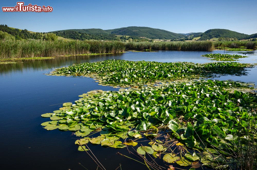 Immagine Il Parco di Colfiorito in Umbria, non lontano da Foligno