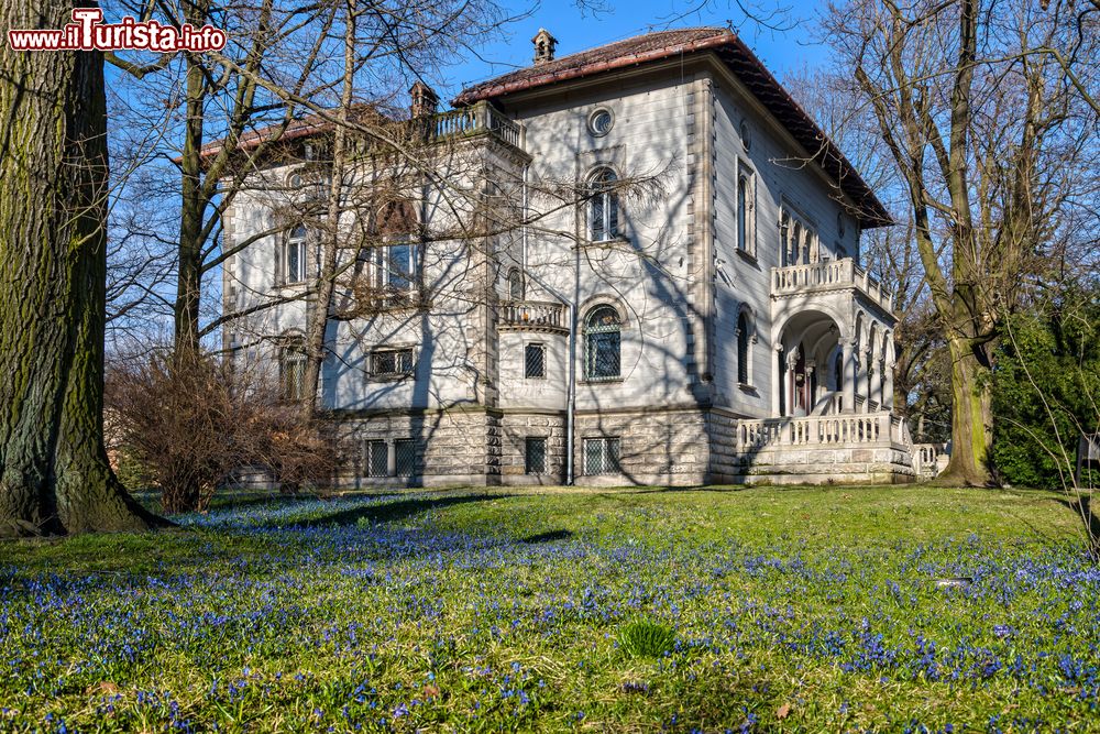 Immagine Il Parco di Klepacz con la villa di Joseph Richter a Lodz, Polonia. In primo piano, fiori azzurri primaverili di Scilla Siberica, i falsi giacinti.