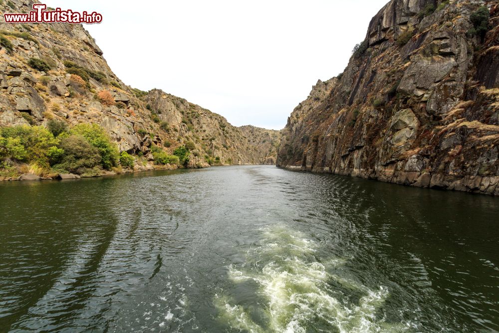 Immagine Il Parco Naturale Internazionale di Douro a Miranda do Douro, Portogallo. Siamo nel nord est del paese, nella regione di Tras-os-Montes, dove il fiume Douro segna il confine con la Spagna. Il Douro è presente in quasi tutti i 122 km di estensione del parco.