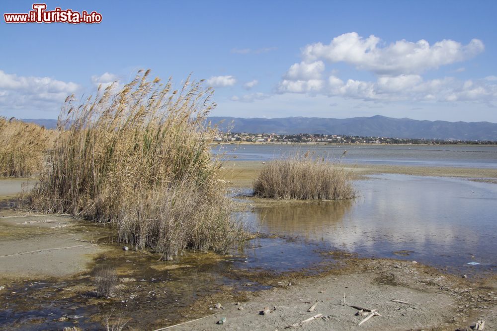 Immagine Il Parco naturale Molentargius in Sardegna e la costa del Poetto vicino a Quartu Sant Elena