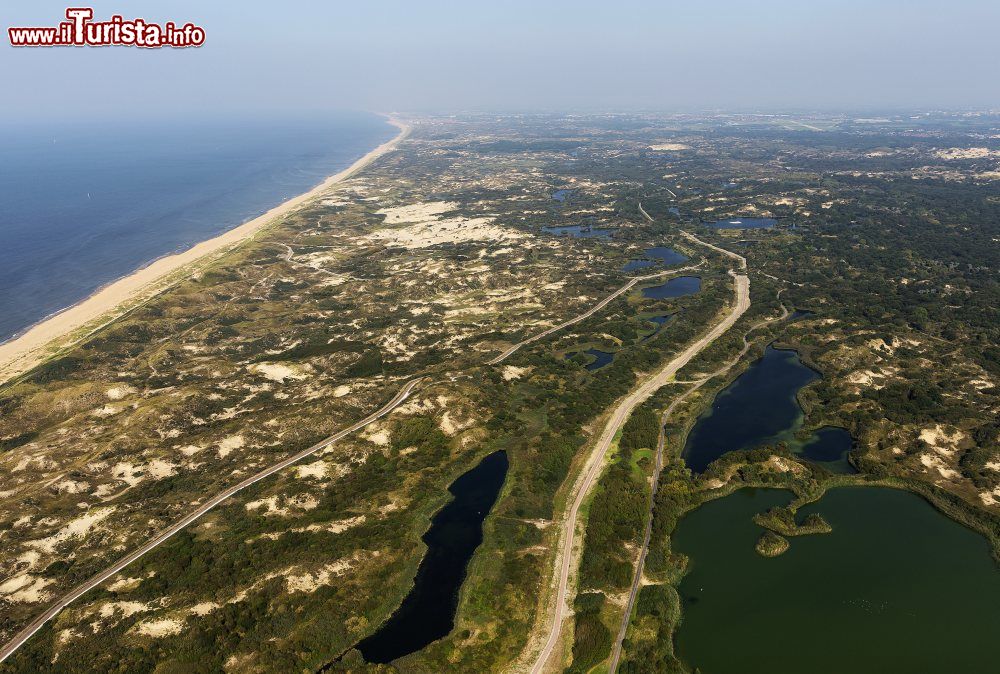 Immagine Il Parco Nazionale delle Dune Olandesi vicino a L'Aja sulla costa dell'Olanda.