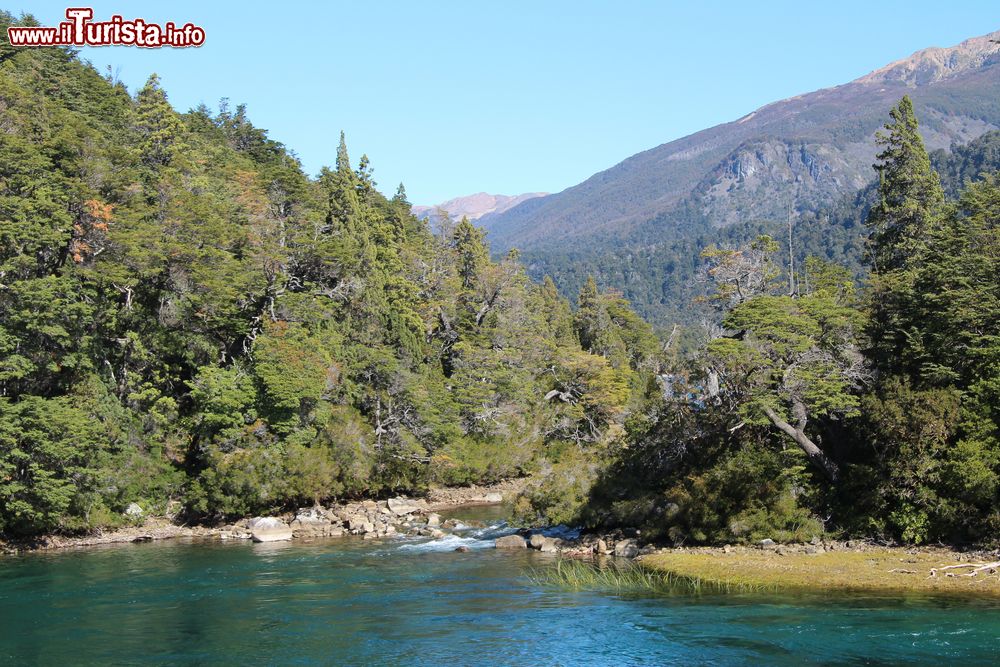 Immagine Il Parco Nazionale di Alerces a Esquel, Patagonia, Argentina. Questa regione argentina possiede uno dei boschi andino-patagonici più ricchi di vegetazione.