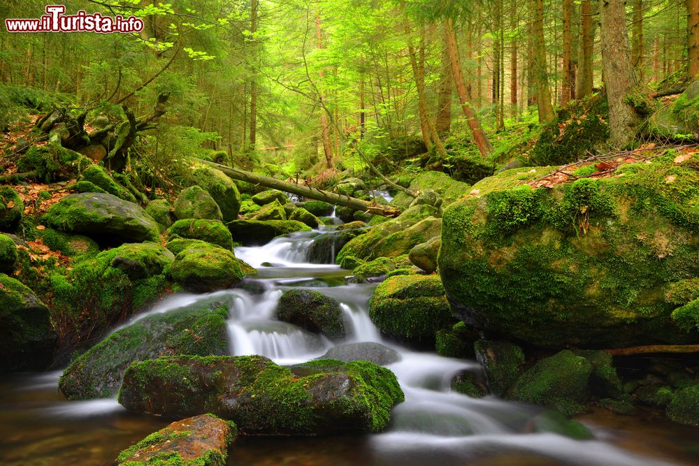Immagine Il Parco Nazionale Sumava in Repubblica Ceca