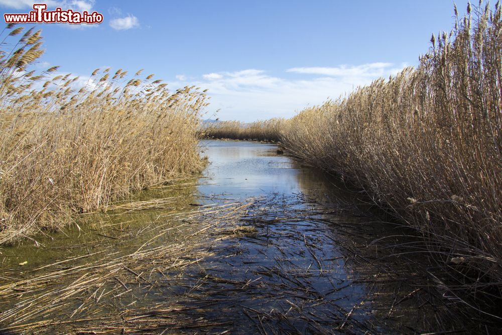 Immagine Il Parco Regionale Molentargius nel sud della Sardegna