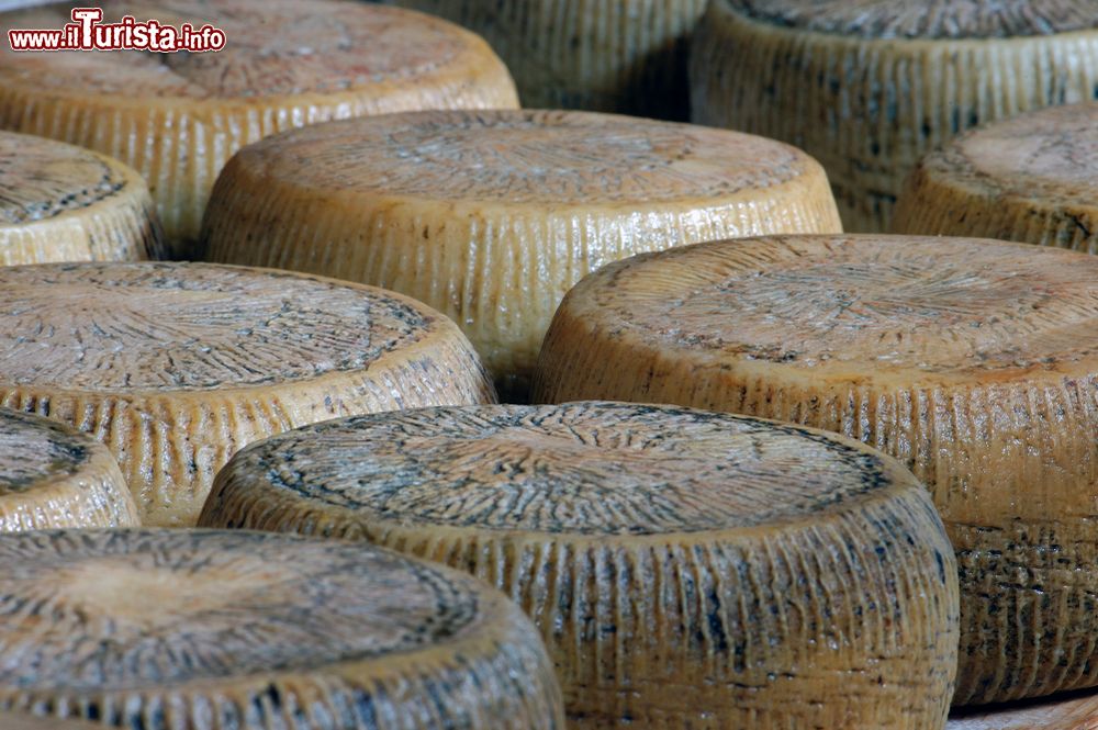 Immagine Il Pecorino di Filiano una delle eccelenze casearie della Basilicata