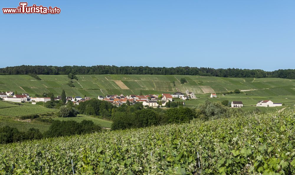 Immagine Il piccolo villaggio di Leuvrigny nei pressi di Epernay (Francia) con vigneti.