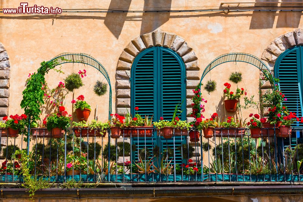 Immagine Il pittoresco balcone fiorito di un palazzo del centro di Lucca, Toscana.