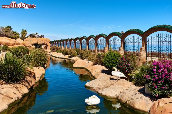 Immagine Il pittoresco giardino Marina d'Or di Oropesa del Mar, Spagna. Passeggiando al suo interno fra cascate e fontane si possono scoprire migliaia e migliaia di fiori naturali di oltre 50 specie diverse nonchè una ricca fauna