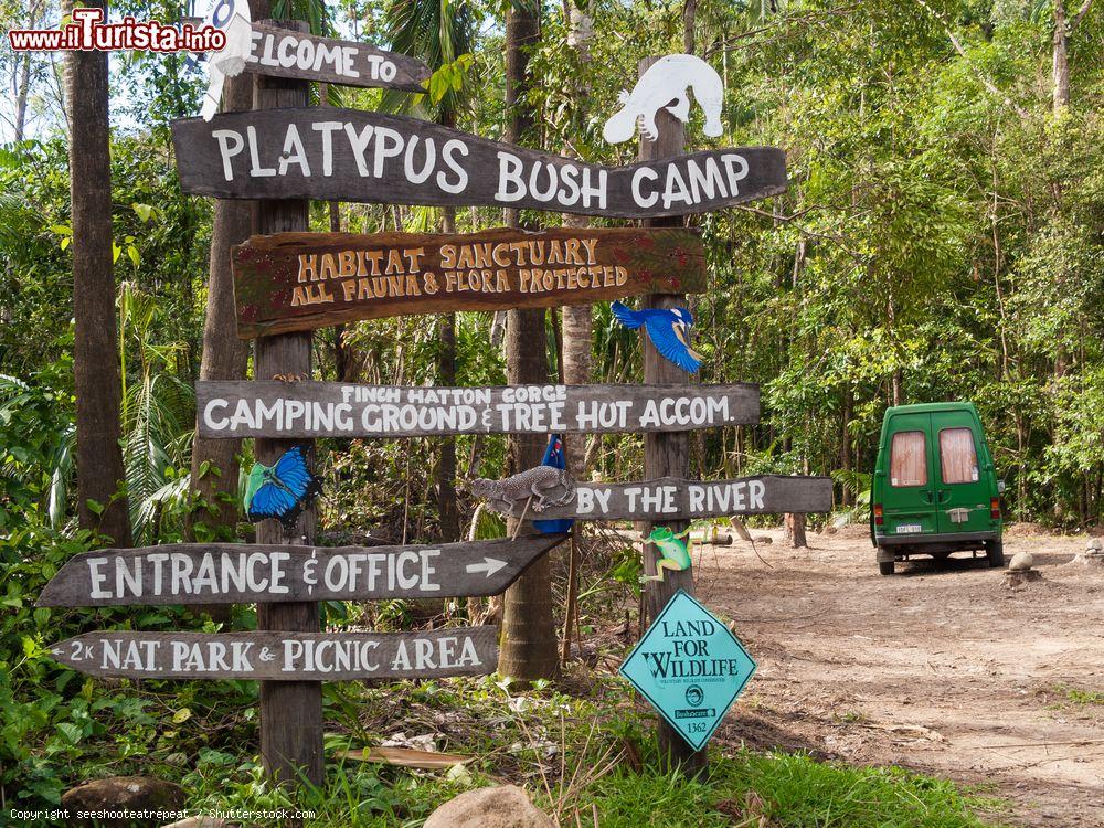 Immagine Il Platypus Bush Camp National Park a Finch Hatton Gorge, Mackay, Australia. In questo angolo di foresta pluviale, dove si possono ammirare molte specie di flora e fauna locale, è di casa l'ornitorinco. Siamo nelle vicinanze di Mackay e a soli 2 km dall'Eungella National Park - © seeshooteatrepeat / Shutterstock.com