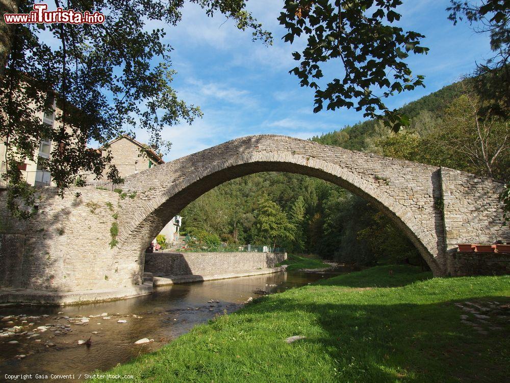 Immagine Il Ponte della Maestà del XIV secolo sul fiume Montone a Portico di Romagna. - © Gaia Conventi / Shutterstock.com