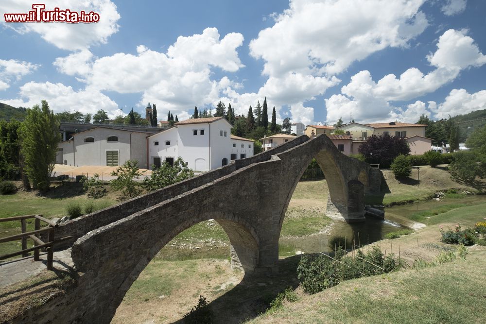 Immagine Il Ponte della Signora, o ponte di San Donato, a schiena d'asino sul torrente Tramazzo a Modigliana, Emilia-Romagna