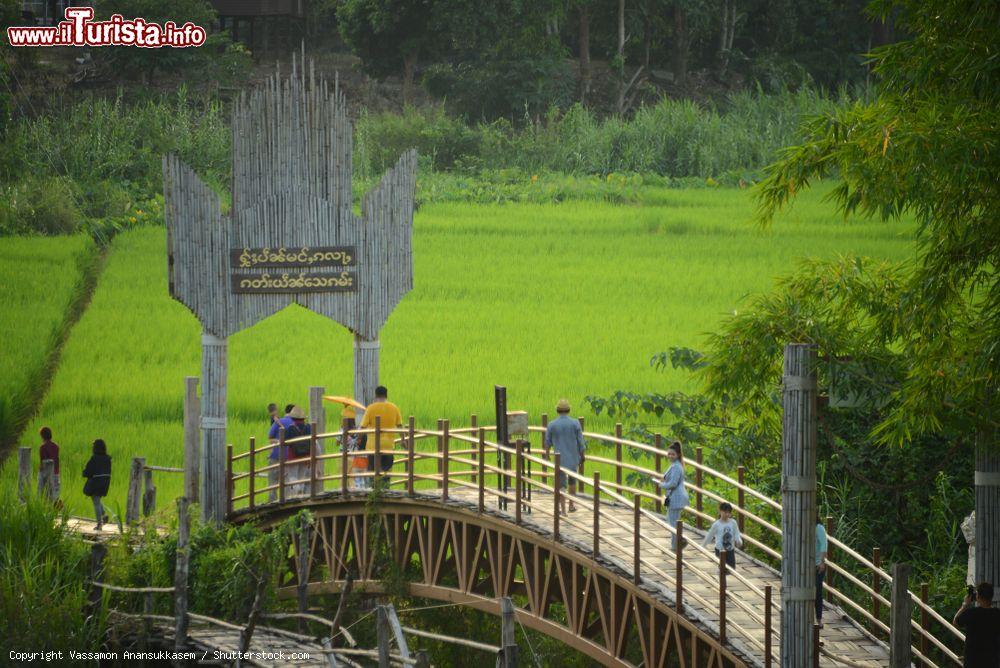 Immagine Il ponte di bambù che attraversa campi di riso a Su Tong Pae, provincia di Mae Hong Son (Thailandia) - © Vassamon Anansukkasem / Shutterstock.com