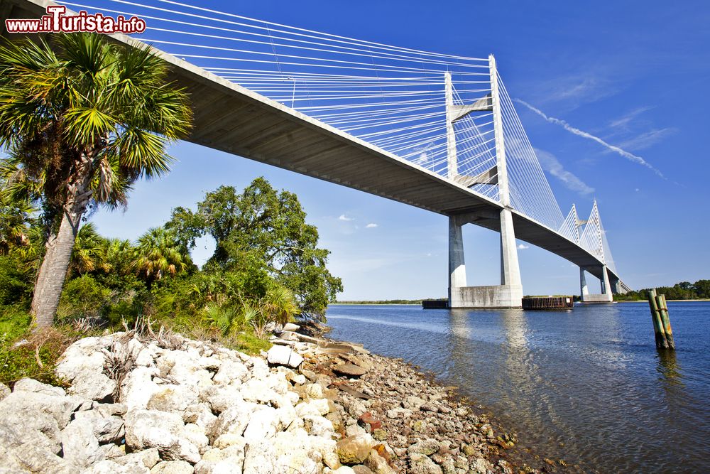 Immagine Il ponte di Dames Pointsul fiume Saint John's River a Jacksonville in Florida