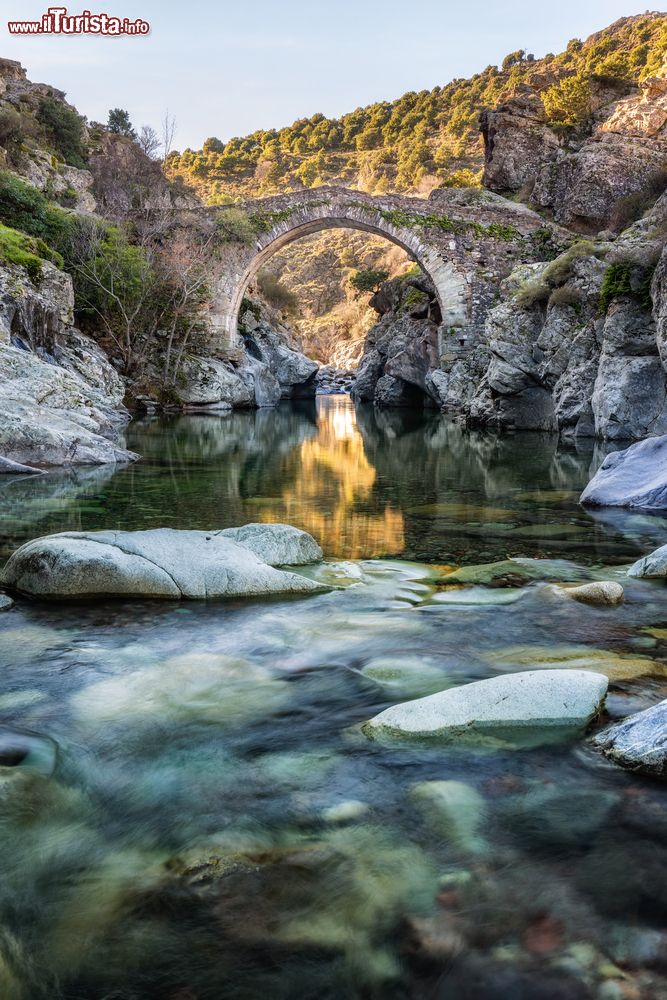 Immagine Il ponte Genovese a schiena d'asino di Asco in Corsica