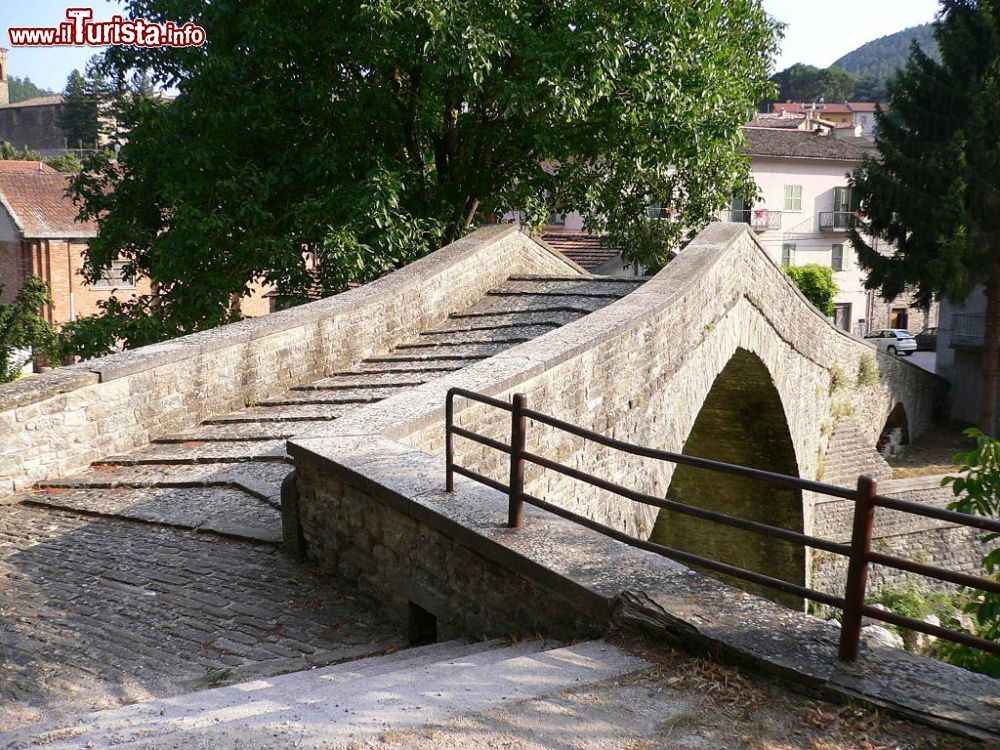 Immagine Il ponte medievale di Apecchio, sul fiume Biscubio, nell parte bassa del borgo delle Marche - © Wolfra - CC BY-SA 3.0 - Wikipedia