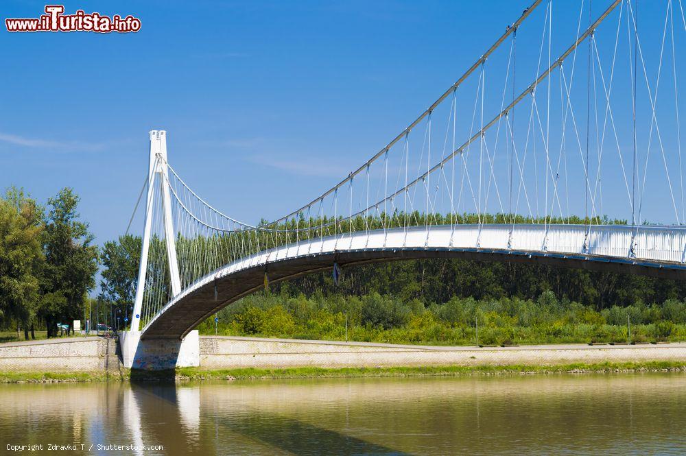 Immagine Il ponte sospeso di Osijek, Croazia. Questa bella costruzione attraversa il fiume Drava - © Zdravko T / Shutterstock.com