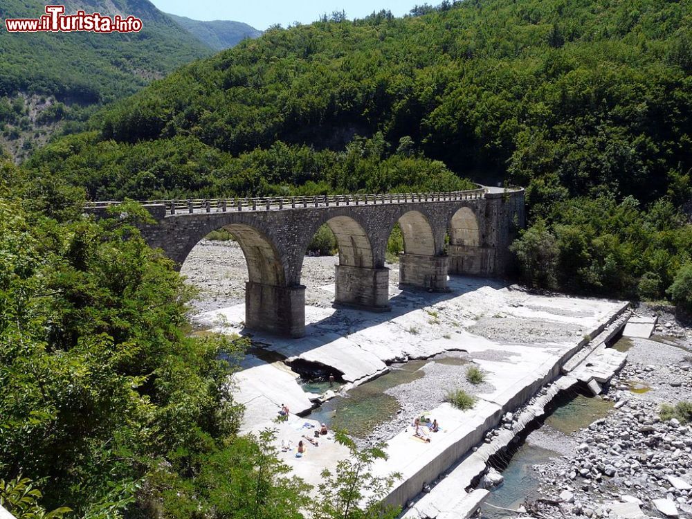 Immagine Il ponte sul Carreghino vicino a Carrega Ligure, provincia di Alessandria - © Davide Papalini, CC BY-SA 3.0, Wikipedia