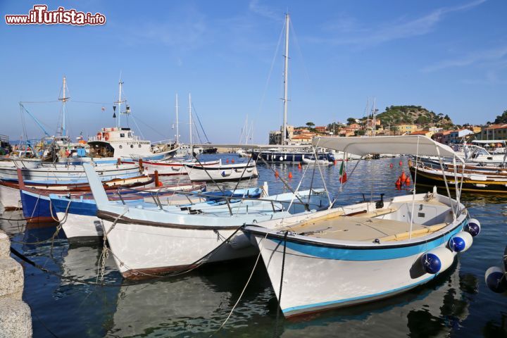 Immagine Il porto cittadino il piu importante dell'Isola del GIglio in Toscana - © trotalo / Shutterstock.com